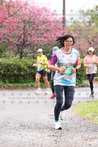 2026左岸竹東櫻花馬拉松Zhudong Sakura Marathon