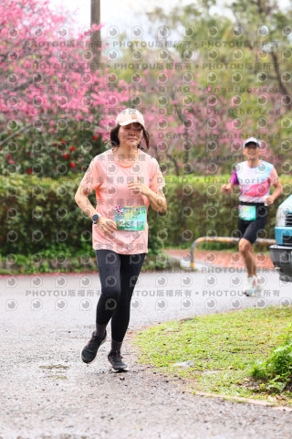 2026左岸竹東櫻花馬拉松Zhudong Sakura Marathon