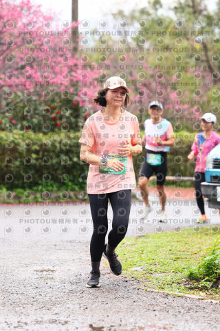 2026左岸竹東櫻花馬拉松Zhudong Sakura Marathon