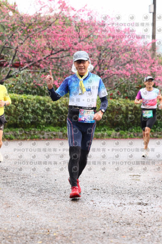 2026左岸竹東櫻花馬拉松Zhudong Sakura Marathon