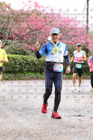 2026左岸竹東櫻花馬拉松Zhudong Sakura Marathon