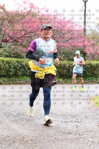 2026左岸竹東櫻花馬拉松Zhudong Sakura Marathon