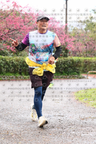 2026左岸竹東櫻花馬拉松Zhudong Sakura Marathon