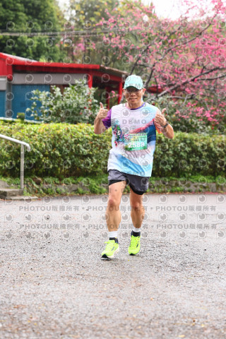 2026左岸竹東櫻花馬拉松Zhudong Sakura Marathon