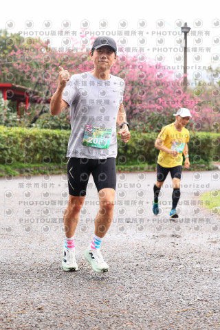 2026左岸竹東櫻花馬拉松Zhudong Sakura Marathon