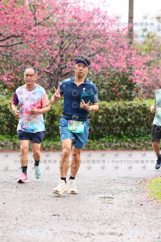 2026左岸竹東櫻花馬拉松Zhudong Sakura Marathon