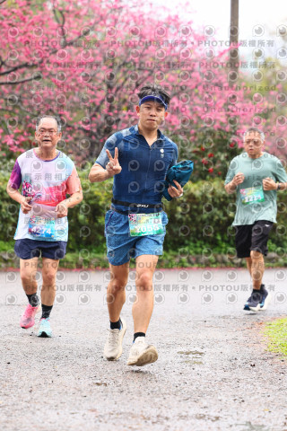 2026左岸竹東櫻花馬拉松Zhudong Sakura Marathon