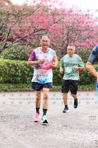 2026左岸竹東櫻花馬拉松Zhudong Sakura Marathon