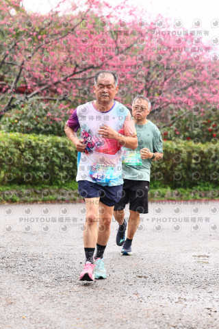 2026左岸竹東櫻花馬拉松Zhudong Sakura Marathon