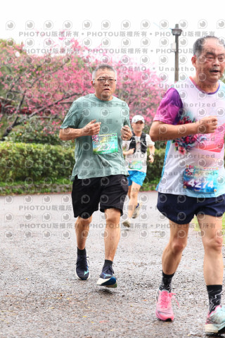 2026左岸竹東櫻花馬拉松Zhudong Sakura Marathon