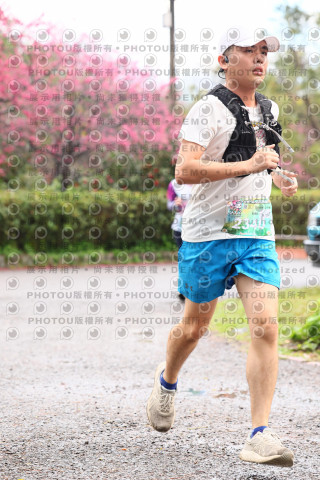 2026左岸竹東櫻花馬拉松Zhudong Sakura Marathon