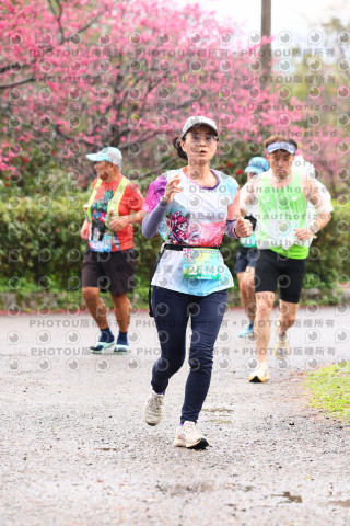 2026左岸竹東櫻花馬拉松Zhudong Sakura Marathon