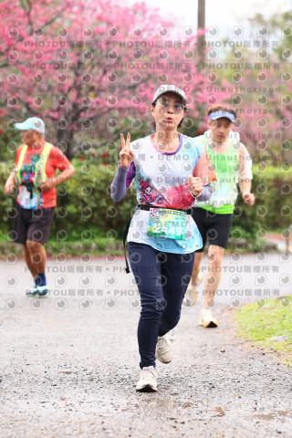 2026左岸竹東櫻花馬拉松Zhudong Sakura Marathon