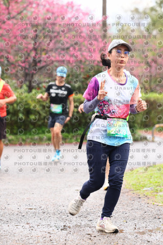 2026左岸竹東櫻花馬拉松Zhudong Sakura Marathon