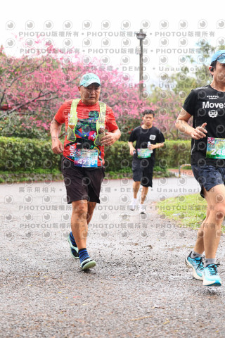2026左岸竹東櫻花馬拉松Zhudong Sakura Marathon
