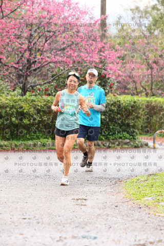 2026左岸竹東櫻花馬拉松Zhudong Sakura Marathon