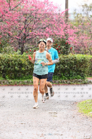 2026左岸竹東櫻花馬拉松Zhudong Sakura Marathon