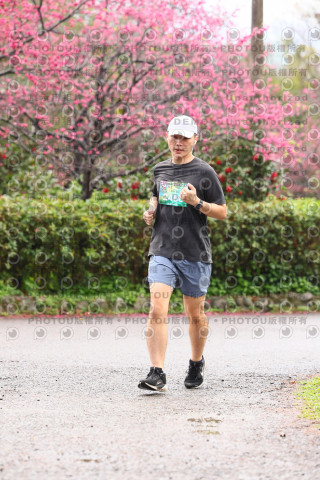 2026左岸竹東櫻花馬拉松Zhudong Sakura Marathon