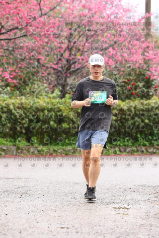 2026左岸竹東櫻花馬拉松Zhudong Sakura Marathon
