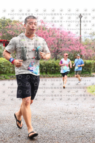 2026左岸竹東櫻花馬拉松Zhudong Sakura Marathon