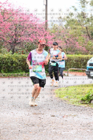 2026左岸竹東櫻花馬拉松Zhudong Sakura Marathon