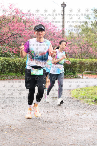 2026左岸竹東櫻花馬拉松Zhudong Sakura Marathon