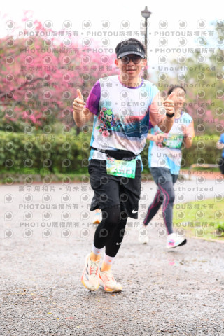 2026左岸竹東櫻花馬拉松Zhudong Sakura Marathon