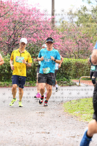 2026左岸竹東櫻花馬拉松Zhudong Sakura Marathon