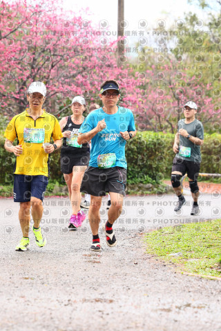 2026左岸竹東櫻花馬拉松Zhudong Sakura Marathon
