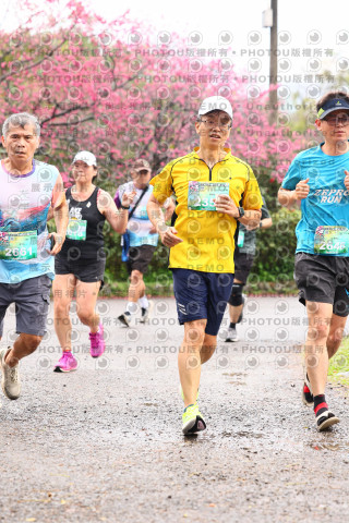2026左岸竹東櫻花馬拉松Zhudong Sakura Marathon