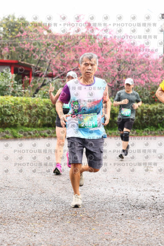 2026左岸竹東櫻花馬拉松Zhudong Sakura Marathon
