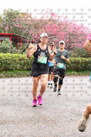 2026左岸竹東櫻花馬拉松Zhudong Sakura Marathon