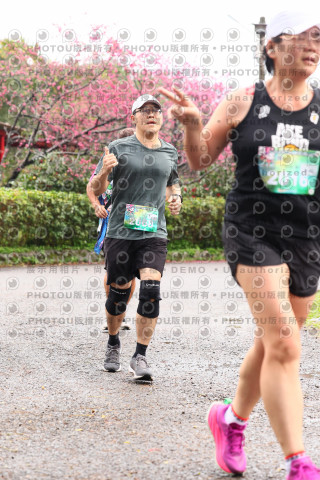 2026左岸竹東櫻花馬拉松Zhudong Sakura Marathon