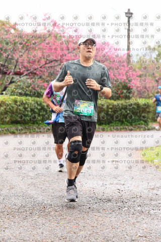 2026左岸竹東櫻花馬拉松Zhudong Sakura Marathon