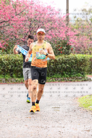 2026左岸竹東櫻花馬拉松Zhudong Sakura Marathon