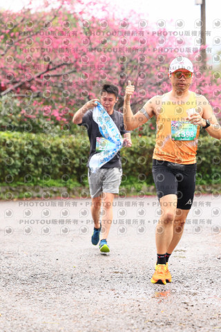 2026左岸竹東櫻花馬拉松Zhudong Sakura Marathon