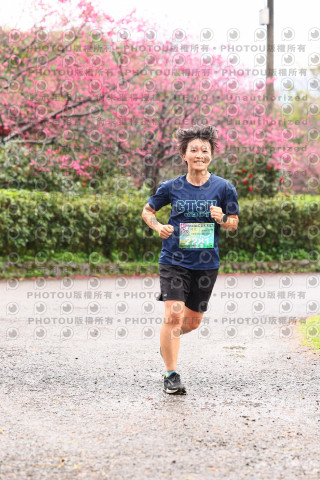 2026左岸竹東櫻花馬拉松Zhudong Sakura Marathon
