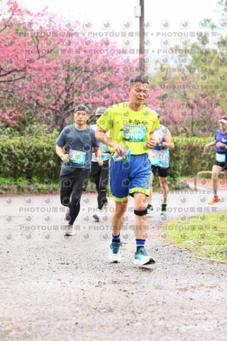 2026左岸竹東櫻花馬拉松Zhudong Sakura Marathon