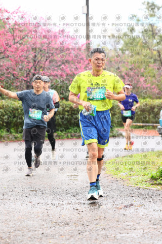 2026左岸竹東櫻花馬拉松Zhudong Sakura Marathon