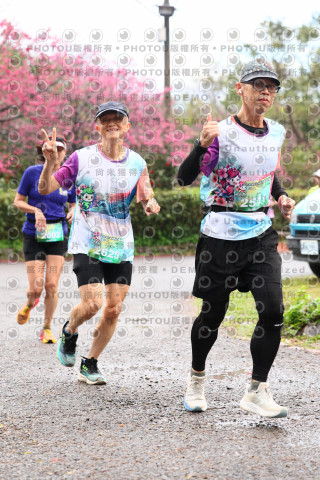 2026左岸竹東櫻花馬拉松Zhudong Sakura Marathon