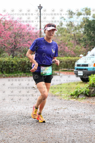 2026左岸竹東櫻花馬拉松Zhudong Sakura Marathon