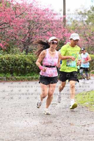 2026左岸竹東櫻花馬拉松Zhudong Sakura Marathon