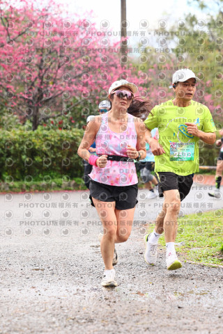 2026左岸竹東櫻花馬拉松Zhudong Sakura Marathon