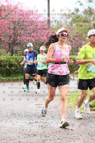 2026左岸竹東櫻花馬拉松Zhudong Sakura Marathon
