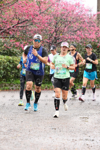 2026左岸竹東櫻花馬拉松Zhudong Sakura Marathon