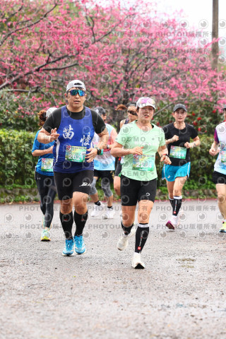 2026左岸竹東櫻花馬拉松Zhudong Sakura Marathon