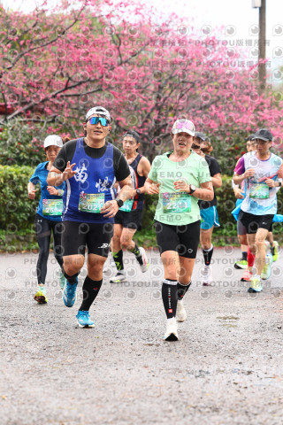 2026左岸竹東櫻花馬拉松Zhudong Sakura Marathon