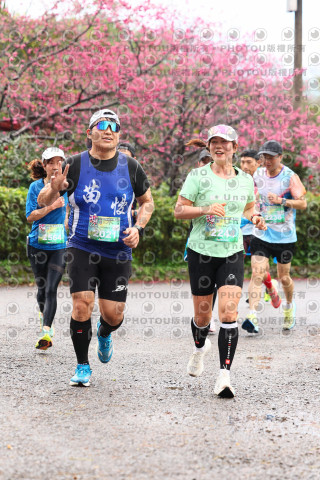 2026左岸竹東櫻花馬拉松Zhudong Sakura Marathon