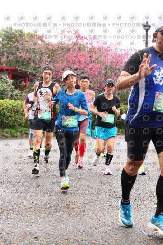 2026左岸竹東櫻花馬拉松Zhudong Sakura Marathon