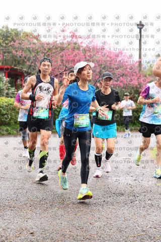 2026左岸竹東櫻花馬拉松Zhudong Sakura Marathon
